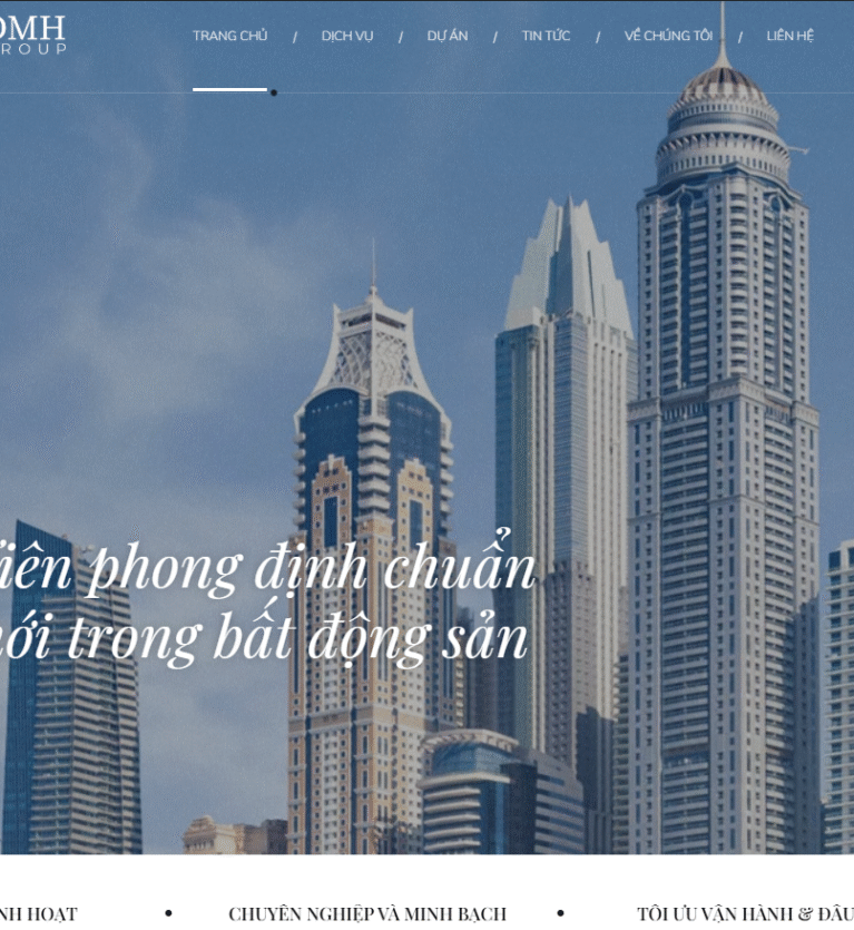 dmhgroup.vn